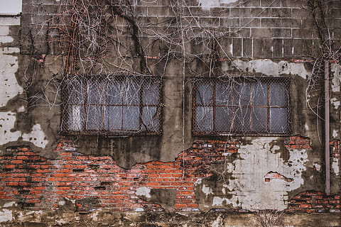 Marrone, beige, carta da parati a muro, edificio abbandonato grigio, parete, mattone, vecchio, rustico, pianta, struttura costruita, architettura, esterno dell'edificio, costruzione, caratteristica della parete, muro di mattoni, abbandonato, danneggiato, nessuno, intemperie, declino, deterioramento, finestra, giorno, corri giù, cattiva condizione, rovinato, all'aperto, 4K, CC0, dominio pubblico, privo di copyright