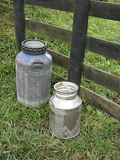 leite, interior, minas, plantar, grama, recipiente, dia, metal, natureza, terra, ninguém, campo, árvore, ao ar livre, posso, visão de alto ângulo, madeira - material, fronteira, crescimento, barreira, cerca, cor verde, produtos lácteos, prateado colorido, 4K, CC0, domínio público, royalty free