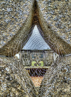 spindelvæv, web, edderkop, dug, natur, vand, struktur, naturlig, netting, udendørs, net, mesh, arkitektur, bygget struktur, ingen mennesker, dag, plante, bygning udvendig, træ, tag, bygning, vækst, mønster, hus, geometrisk form, vindue, dækker, form, i en række, baggrunde, loft, 4K, CC0, offentligt domæne, royaltyfrie