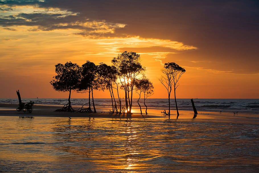fotografia de paisatge, illot, clar, cel, durant el dia, posta de sol, darwin, manglar, horitzó, tropical, Austràlia, taronja, crepuscle, oceà, aigua, arbre, mar, bellesa a la natura, escenics - natura, color taronja, tranquil·litat, planta, núvol - cel, escena tranquil·la, naturalesa, platja, davant del mar, terra, idíl·lic, reflexió, silueta, a l'aire lliure, horitzó sobre l’aigua, cap gent, 4K