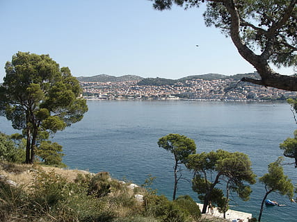 mar, verão, árvore, pinho, panorama, Visão, natureza, ensolarado, brilho do sol, costa, sibenik, Croácia, plantar, agua, céu, beleza na natureza, dia, céu limpo, crescimento, scenics - natureza, cena tranquila, tranquilidade, ninguém, arquitetura, montanha, estrutura construída, ao ar livre, exterior do edifício, 2K, CC0, domínio público, royalty free