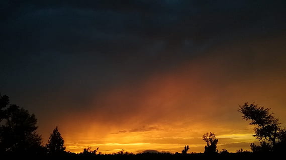 Gewitter, Sonnenuntergang, Georgia, Himmel, Baum, Silhouette, Schönheit in der Natur, Szenen - Natur, Pflanze, wolke - himmel, Ruhe, ruhige Szene, orange Farbe, Natur, keine Leute, idyllisch, Nicht-städtische Szene, Flachwinkelansicht, Wachstum, draußen, kopieren sie platz, Astronomie, 1080P, CC0, gemeinfrei, lizenzfrei