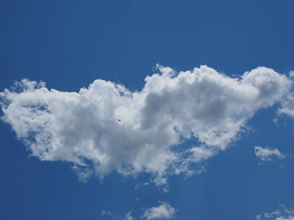 himmel, Sky, fugl, blå, skyer form, hvid, cumulus skyer, natur, vejr, luft, dag, baggrunde, udendørs, sommer, sky - himmel, klima, plads, cumulus sky, lav vinkel visning, flyvende, dyre temaer, dyr, skønhed i naturen, hvirveldyr, dyreliv, ingen mennesker, scenics - natur, et dyr, dyr i naturen, hvid farve, Midt i luften, 4K, CC0, offentligt domæne, royaltyfrie