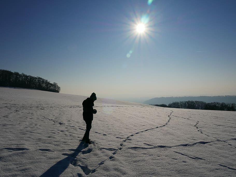 sníh, sama, krajina, Studený, zasněžený, osamělý, hluboký sníh, stopa, jedna osoba, dospělý, jen dospělí, pouze jeden muž, slunečního světla, venku, lidé, slunce, silueta, nebe, skutečných lidí, volnočasové aktivity, životního stylu, Příroda, krása v přírodě, plná délka, studená teplota, zimní, přistát, stín, stojící, mimoměstské scény, den, odlesk objektivu, Jasný, teplé oblečení, 4K