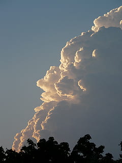 scăzut, unghi de fotografiere, nori, thundercloud, furtună, vreme, nor, redirecţiona, climatologie, meteorologie, periculos, amenințător, mare, puternic, imens, cumulonimbus, cumulus, cumuluswolke, reflector, ușoară, sumbru, cer, frumusețe în natură, copac, vedere unghiulară joasă, nor - cer, plantă, natură, liniște, scenice - natura, nici o persoana, o scenă liniștită, în aer liber, zi, spațiu copie, idilic, siluetă, creştere, lumina soarelui, scenă non-urbană, vârful copacului, 2K, CC0, domeniu public, fără drepturi de autor
