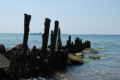 vein, wreckage, piles, sea, water, sky, horizon over water, land, horizon, nature, beach, scenics - nature, no people, wood - material, rock, tranquil scene, day, solid, rock - object, tranquility, clear sky, damaged, outdoors, wooden post, post, ruined, 4K, CC0, public domain, royalty free