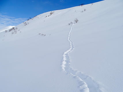 Berge, Winter, Fuchs, Tier, Spuren, nora, Schnee, kalt, Frost, Landschaft, Natur, Berg, kalte Temperatur, weiße Farbe, Tag, Schönheit in der Natur, Sport, Szenen - Natur, Umgebung, Schispur, Ruhe, Nicht-städtische Szene, keine Leute, Himmel, ruhige Szene, Land, draußen, schneebedeckter Berg, Skipiste, Pulverschnee, Skigebiet, 2K, CC0, gemeinfrei, lizenzfrei