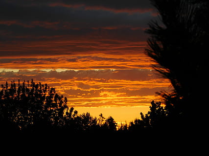 solnedgang, skyer, orange, natur, himmel, aften, daggry, himlen skyer, solnedgang landskab, solnedgang himmel, silhuet, sky - himmel, scenics, rolig scene, skønhed i naturen, orange farve, scenics - natur, træ, ro, plante, ingen mennesker, idyllisk, ikke-urbane scene, dramatisk himmel, udendørs, vækst, miljø, majestætisk, romantisk himmel, 4K, CC0, offentligt domæne, royaltyfrie