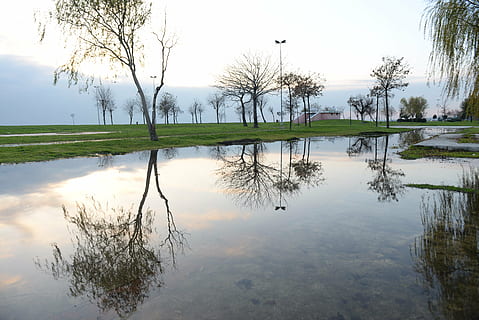 odraz, Istanbul, suadiye, voda, nebe, strom, rostlina, klid, jezero, klidné scény, krása v přírodě, scenics - příroda, Příroda, nábřeží, nikdo, holý strom, den, stojatá voda, idylický, mimoměstské scény, venku, odraz jezero, 5K, CC0, veřejná doména, bez autorských práv