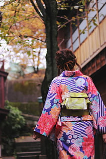blau, rosa, floral, yukata, quimono, Japó, ètnia japonesa, cultura japonesa, dones, ciutat de Kyoto, prefectura de Kyoto, geisha, gent, cultures, gion, femelles, una persona, roba tradicional, geisha a l'entrenament, vista del darrere, dia, només dones, adult, persones reals, centrar-se en primer pla, túnica, estils de vida, roba, activitat d'oci, naturalesa, arquitectura, a l'aire lliure, pentinat, motiu floral, 1080P, CC0, domini públic, lliure de regalies