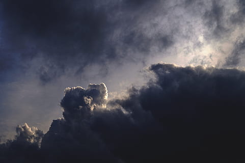 dark clouds, clouds, nature, sky, cloud - sky, dramatic sky, weather, no people, storm cloud, one animal, storm, low angle view, beauty in nature, cloudscape, animal, animal themes, scenics - nature, outdoors, overcast, sunbeam, atmospheric mood, animal wildlife, ominous, softness, meteorology, 5K, CC0, public domain, royalty free