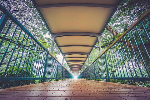 Brücke, Pfad, Kopfsteinpflaster, Geländer, Bäume, die Architektur, der Weg nach vorn, Richtung, gebaute Struktur, abnehmende Perspektive, keine Leute, drinnen, Fußweg, Decke, Baum, Tag, Pflanze, leeren, Transport, Bogen, Verbindung, Fluchtpunkt, Steg, lange, 4K, CC0, gemeinfrei, lizenzfrei