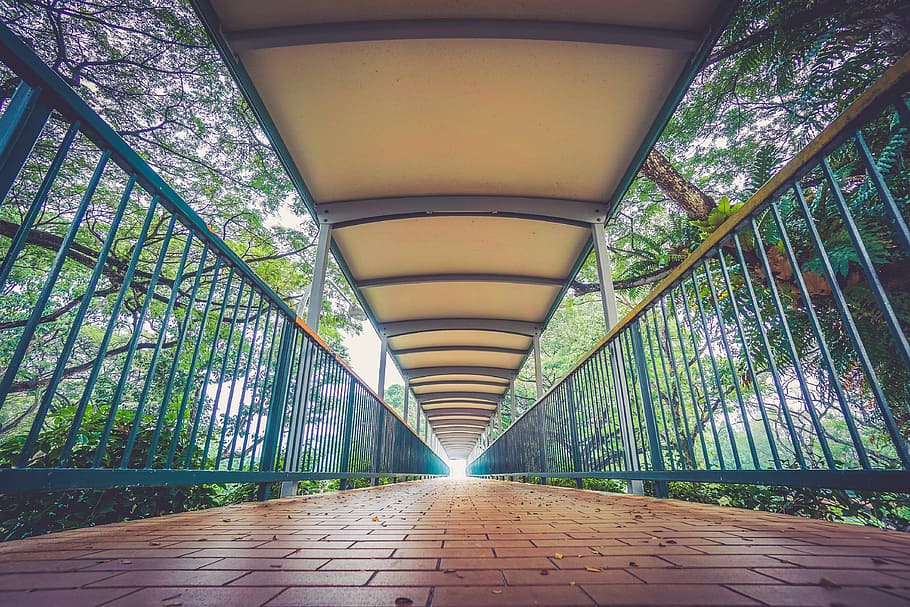 Brücke, Pfad, Kopfsteinpflaster, Geländer, Bäume, die Architektur, der Weg nach vorn, Richtung, gebaute Struktur, abnehmende Perspektive, keine Leute, drinnen, Fußweg, Decke, Baum, Tag, Pflanze, leeren, Transport, Bogen, Verbindung, Fluchtpunkt, Steg, lange, 4K