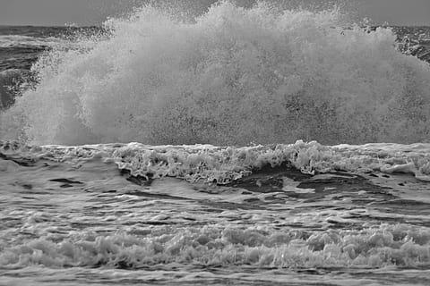 spray, wave, denmark, surf, coast, sea, water, ocean surf, wave breaking, north sea, big wave, motion, sport, power in nature, power, aquatic sport, surfing, beauty in nature, day, nature, land, waterfront, beach, splashing, outdoors, scenics - nature, breaking, hitting, 4K, CC0, public domain, royalty free