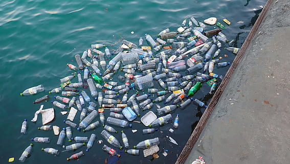 clasificado, botellas de plástico, cuerpo, agua, tiempo de día, el plastico, contaminación, basura, residuos, ambiente, botella, ambiental, gran grupo de objetos, día, vista de alto ángulo, nadie, abundancia, metal, río, al aire libre, naturaleza, apilar, transporte, cuestiones ambientales, Daño ambiental, flotante, puerto, 4K, CC0, dominio público, libre de derechos