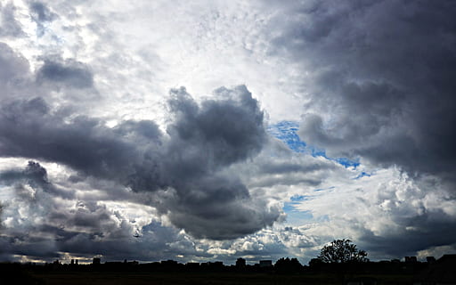 skyer, cumulus, dramatisk, himmel, dramatiske skyer, himlen, skyline, silhuet, luft, atmosfære, vejr, landskab, sky - himmel, natur, scenics, ingen mennesker, skønhed i naturen, storm, scenics - natur, miljø, dag, træ, cloudscape, overskyet, udendørs, tordenvejr, storm sky, plante, ildevarslende, ro, mørk, meteorologi, 4K, CC0, offentligt domæne, royaltyfrie