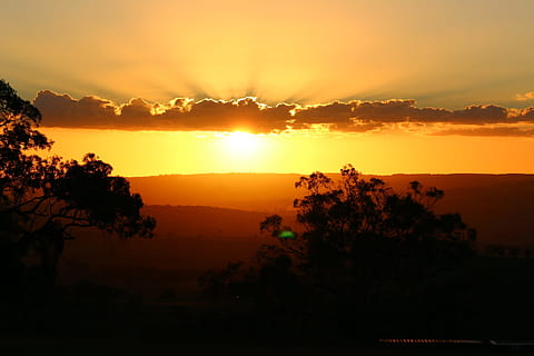 posta de sol, bathurst, Austràlia, naturalesa, vespre, sol, color taronja, llum solar, escenics, cel, sortida del sol - alba, paisatge, alba, a l'aire lliure, silueta, bellesa a la natura, al matí, estiu, núvol - cel, arbre, escenics - natura, planta, tranquil·litat, escena tranquil·la, medi ambient, cap gent, escena no urbana, idíl·lic, clima tropical, 1080P, CC0, domini públic, lliure de regalies
