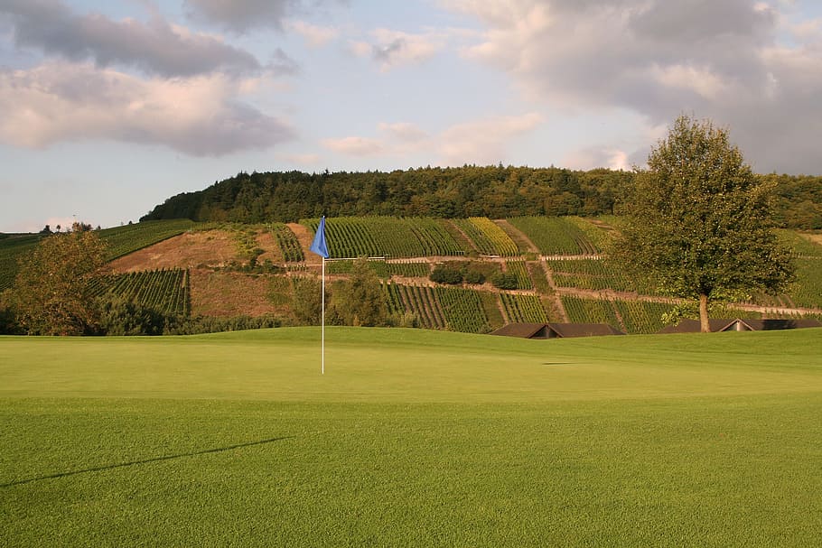 golf, siv, grøn, flag, hul, Golfklub, sætte, trier, vinmarker, sport, græs, golfbane, golf flag, aktivitet, plante, grøn farve, træ, grøn - golfbane, himmel, natur, sky - himmel, putting green, fritidsaktivitet, dag, ingen mennesker, ro, miljø, udendørs, græstørv, 1080P