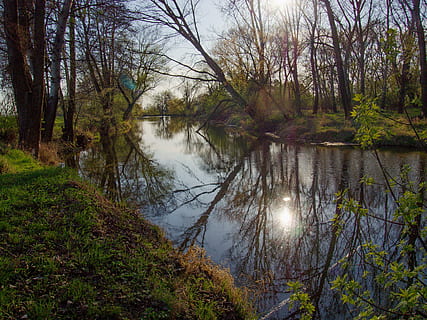 Fluss, Wasserstand, Bäume, Reflexion, Wasser, Ruhe, Baum, Pflanze, See, ruhige Szene, Szenen - Natur, Schönheit in der Natur, Wald, keine Leute, Natur, Land, Nicht-städtische Szene, Wachstum, Himmel, idyllisch, Tag, draußen, 4K, CC0, gemeinfrei, lizenzfrei