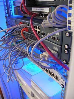 hub de commutateur noir, réseau, lien, pc, Adresse web, l'Internet, ordinateur, le web, http, www, commerce électronique, routeur, commutateur, médias, non, cia, surveillance, Sécurité, administration, La technologie, Mémoire, nuage, les liaisons, distributeur, carte, planche de montage, Les données, traitement de l'information, composant, puce, CPU, science, réseau informatique, câble, la communication, prise de connexion réseau, serveur de réseau, câble d'ordinateur, Technologie sans fil, bleu, à l'intérieur, personne, équipement, équipement informatique, affaires, complexité, fermer, bloc de connexion, Salle informatique, équipement électrique, 2K, CC0, domaine public, libre de droits
