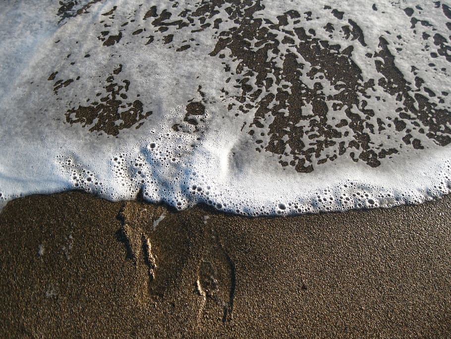 petjades, surf, wave, navega, onada, un animal, temes d'animals, animals a la natura, fauna animal, cap gent, dia, aigua, mar, surf, terra, platja, naturalesa, esport aquàtic, sorra, moviment, esport, vista d’angle alt, primer pla, a l'aire lliure, sòlid, bellesa a la natura, poder a la natura, 2K
