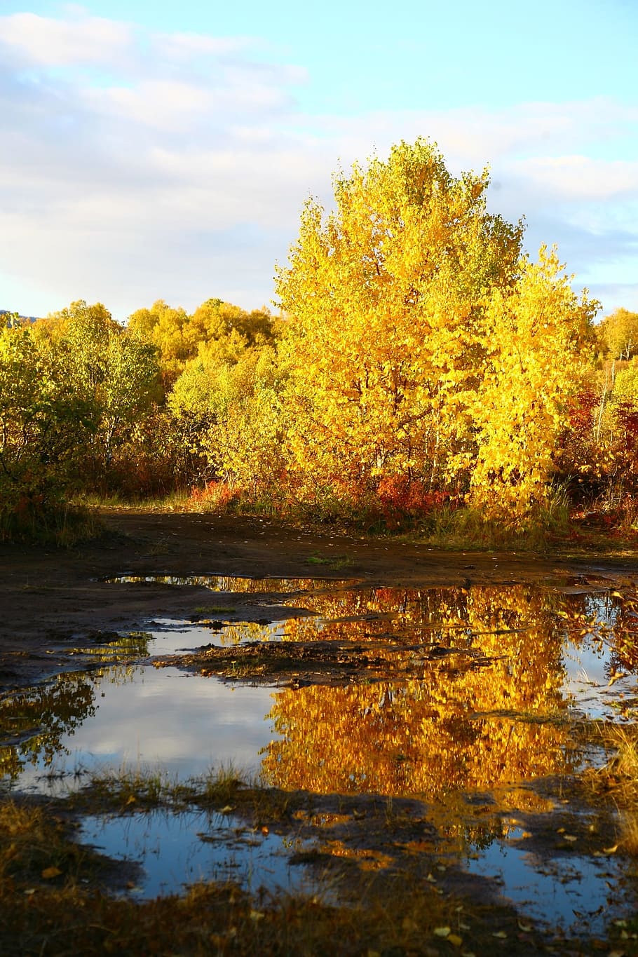 Herbst, Wald, See, Reflexion, Herbstwald, goldener Herbst, Herbstblätter, Herbstfarben, listopad, Himmel, Wolken, Baum, Wasser, Ruhe, Pflanze, Schönheit in der Natur, ruhige Szene, Veränderung, Natur, Szenen - Natur, wolke - himmel, keine Leute, Wachstum, Tag, Ufergegend, Nicht-städtische Szene, draußen, fallen, Sumpf, 1080P