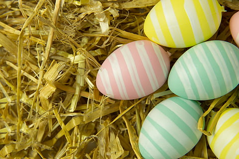 shot, Closeup, Easter eggs, various, easter, eggs, springtime, multi Colored, animal Egg, easter Egg, cultures, decoration, yellow, holiday, celebration, food, season, paint, grass, green Color, no People, symbol, backgrounds, vibrant Color, ornate, basket, wood - Material, color Image, animal Nest, colors, close-up, healthy eating, egg, striped, food and drink, still life, plant, nature, full frame, indoors, brown, 4K