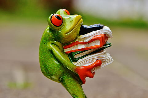 green, frog, carrying, book figurine, figure, files, stack, files stacked, office, decoration, animal, funny, cute, ceramic, fun, sweet, calculator, office work, work, stress, amphibian, tree Frog, wildlife, nature, green color, focus on foreground, animal wildlife, close-up, animal themes, no people, day, animals in the wild, one animal, red, outdoors, food, food and drink, plant, vertebrate, invertebrate, 5K, CC0, public domain, royalty free