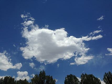 cielo, azul, corazón, paisaje de nubes, nube, alto, mullido, nube - cielo, belleza en la naturaleza, vista de ángulo bajo, naturaleza, árbol, nadie, planta, día, el color blanco, al aire libre, paisajes - naturaleza, tranquilidad, luz del sol, antecedentes, escena tranquila, copa del árbol, meteorología, 2K, CC0, dominio público, libre de derechos