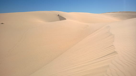sol, duna, sorra, ruta, empremta, cel, horitzó, funció, contempla, desert, duna de sorra, a l'aire lliure, paisatge, cap gent, terra, clima, clima àrid, escenics - natura, medi ambient, tranquil·litat, naturalesa, escena no urbana, terrenys extrems, bellesa a la natura, dia, destinacions de viatge, turó, escena tranquil·la, semiàrid, 2K, CC0, domini públic, lliure de regalies