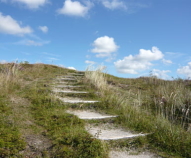 white, concrete, pathway stairway, green, grasses, daytime, pathway, stairway, sky, blue, clouds, dunes, away, landscape, coastal landscape, nice weather, nature, sand, grass, cloud - sky, scenics, plant, footpath, environment, day, land, no people, non-urban scene, scenics - nature, tranquil scene, the way forward, direction, tranquility, beauty in nature, growth, outdoors, trail, 2K, CC0, public domain, royalty free