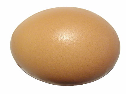 brunt egg, egg, eggeskall, protein, shell, ovale, mat, ingrediens, isolert, kokk, dyr egg, påske, brun, frokost, hvit bakgrunn, studio skudd, skjære ut, innendørs, enkelt objekt, nærbilde, mat og Drikke, spise sunt, ingen folk, stilleben, velvære, friskhet, rå mat, sårbarhet, skjørhet, form, 1080P, CC0, offentlig domene, opphavsrett gratis