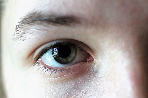 occhio, iris, Bambola, macro, sopracciglia, alghe, espressive, dettagliato, ragazza, naturale, giovane, occhio umano, avvicinamento, persone, analizzare, cercare, guardare, etnia caucasica, bulbo oculare, una persona, iride - occhio, volto umano, vista, donne, femmine, ciglio, guardando la fotocamera, ritratto, parte del corpo umano, parte del corpo, percezione sensoriale, primo piano estremo, sopracciglio, pelle umana, pelle, palpebra, bella donna, occhi nocciola, 5K, CC0, dominio pubblico, privo di copyright