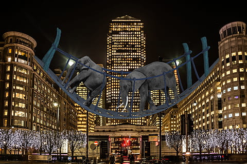 two, elephant, bridge statue, buildings, mall, store, bridge, lights, shopping, shopper, collapsing bridge, night, show, illuminated, architecture, city, building exterior, travel destinations, built structure, building, office building exterior, low angle view, travel, government, lighting equipment, outdoors, no people, celebration, nature, dusk, decoration, skyscraper, nightlife, christmas market, 1080P, CC0, public domain, royalty free