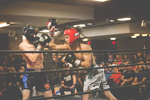 dos, persona, jugant, kick boxing, jugador de boxa, lluita, anell, va colpejar, homes, gent, construcció muscular, esport, adult, a l'interior, exercici, mascles, adult jove, ètnia caucàsica, atleta, força, entrenament esportiu, estils de vida, determinació, competició, esport competitiu, boxa - esport, guant de boxa, anell de boxa, estil de vida saludable, combatre l'esport, dues persones, perforació, rivalitat, boxejador, esforç, 5K, CC0, domini públic, lliure de regalies