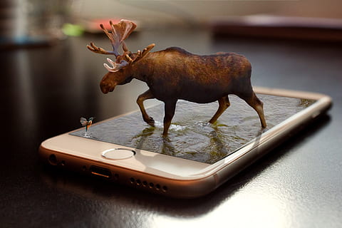 silver iphone 6, iphone, moose, retouch, 3d, remix, phone, water, smart phone, touch screen, photoshop, manipulation, screen, communication, animal, animal themes, mammal, no people, animal wildlife, indoors, one animal, animal representation, representation, day, brown, toy, technology, wireless technology, close-up, table, figurine, 5K, CC0, public domain, royalty free