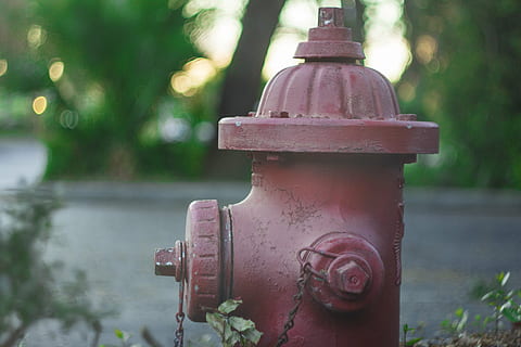požární hydrant, hydrant, Červené, bezpečnost, nouzový, oheň, voda, zařízení, kov, město, městský, den, zaměřit se na popředí, bezpečnostní, nikdo, ochrana, rostlina, detail, Příroda, nehody a katastrofy, venku, rezavý, starý, růžová barva, ulice, strojní ventil, 5K, CC0, veřejná doména, bez autorských práv