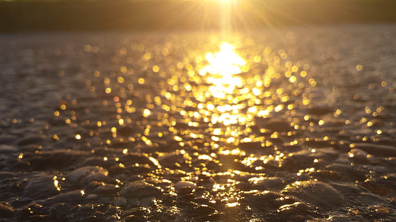 sol, gel, reflexió, espurna, resplendor, posta de sol, Sol ponent, naturalesa, groc, vermell, a l'aire lliure, humor, paisatge, lluny, bosc, aigua, llum solar, cel, fons, cap gent, moviment, color daurat, brillant, tranquil·litat, bellesa a la natura, escenics - natura, flare de la lent, mar, il·luminat, 2K, CC0, domini públic, lliure de regalies