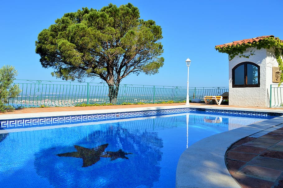 Foto, pool, træ, have, grøn, natur, vand, blå, himmel, udsigt, hvile, luksus, haveskur, ferie, sommer, sol, slap af, svømmepøl, villa, plante, dyr, dyre temaer, ingen mennesker, arkitektur, hvirveldyr, afspejling, udendørs, bygget struktur, dyreliv, dyr i naturen, poolen, marine, 5K