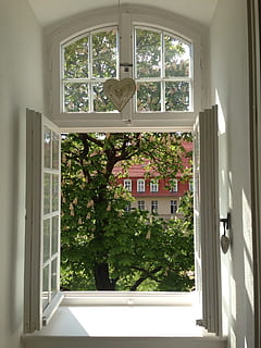 abierto, ventana, árbol, primavera, corazón, flor, floración, sol, ver, planta, arquitectura, material de vidrio, estructura construida, día, edificio, nadie, transparente, adentro, naturaleza, casa, luz del sol, crecimiento, puerta, marco de la ventana, techo, 1080P, CC0, dominio público, libre de derechos