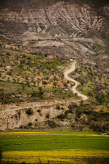 primavera, arbre, naturalesa, paisatge, verd, flors, gall dindi, ametller, yeşilli, mardin, carretera, muntanya, rocós, medi ambient, planta, terra, escenics - natura, escena no urbana, escena tranquil·la, tranquil·litat, cap gent, bellesa a la natura, dia, camp, herba, color verd, creixement, a l'aire lliure, vista d’angle alt, semiàrid, 4K, CC0, domini públic, lliure de regalies