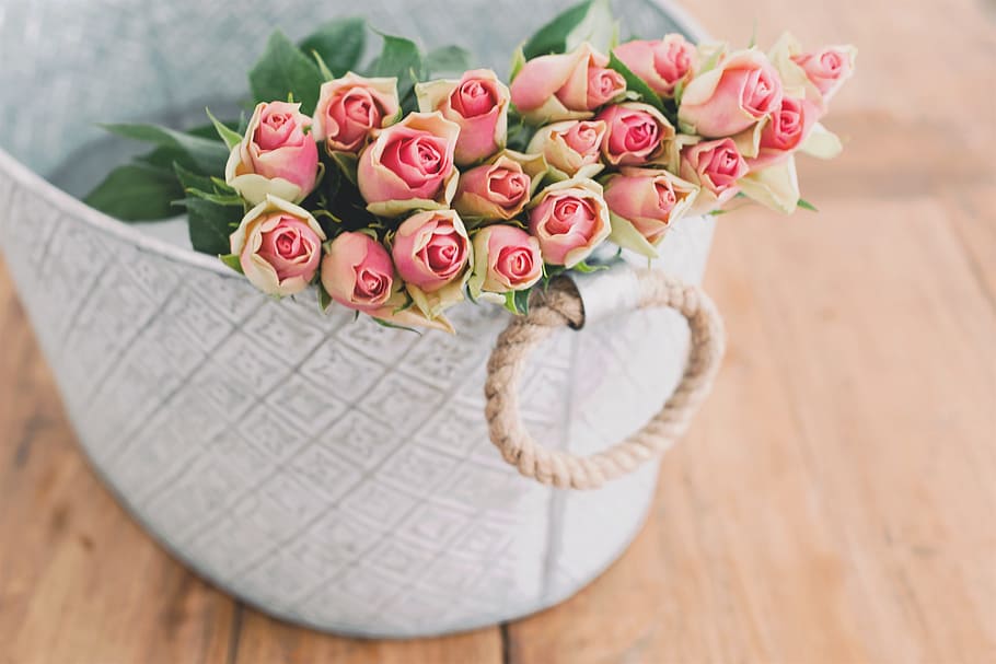 overfladisk, fokus fotografering, buket, lyserød, blomst, hvid, spand, Rose, arrangement, kurv, roser, bord, knop, træ - materiale, bryllup, dekoration, rosenblomst, fest, lyserød farve, ingen mennesker, tæt på, kærlighed, blomstrende plante, plante, skønhed i naturen, friskhed, høj vinkel visning, natur, skrøbelighed, blomster arrangement, sårbarhed, blomsterhoved, blomsterstand, stilleben, flok blomster, 5K