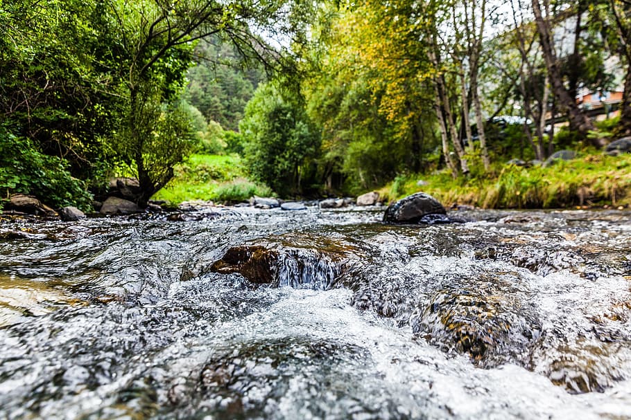 paisaje, agua, verano, rocas, Arroyo, ambiente, otoño, fluir, hojas, musgo, montaña, al aire libre, rápidos, río, superficial, corriente, lapso de tiempo, viaje, arboles, árbol, planta, bosque, naturaleza, belleza en la naturaleza, agua que fluye, tierra, rock, sólido, nadie, día, paisajes - naturaleza, roca - objeto, crecimiento, movimiento, fluido, corriente - agua que fluye, nivel de la superficie, 5K