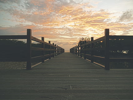 Foto, Brun, træ-, dok, træer, overskyet, himlen foto, taget, solnedgang, grå, bro, gylden, time, gylden time, boardwalk, Sky, himmel, natur, træ - materiale, hav, udendørs, sti, ingen mennesker, bro - menneskeskabt struktur, mole, strand, scenics, landskab, hegn, vand, rækværk, vejen frem, retning, sky - himmel, skønhed i naturen, rolig scene, ro, scenics - natur, bygget struktur, arkitektur, faldende perspektiv, forbindelse, idyllisk, lang, 2K, CC0, offentligt domæne, royaltyfrie