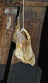 capo, pesce, osso, cranio, carcassa, sospeso, macro, nessuno, avvicinamento, legno - materiale, animale, teschio animale, temi animali, fauna selvatica, giorno, parte del corpo animale, natura, in casa, vista dall'alto, asciutto, cibo e bevande, concentrarsi sulle conoscenze acquisite, 2K, CC0, dominio pubblico, privo di copyright