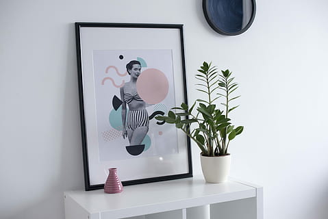 fotoramme, bord, hvid, keramisk, vase, top, træ-, sidebord, indre, plante, plakat, ramme, potteplante, billedramme, computer, spejl, moderne, keramik, indendørs, natur, blad, plante del, vækst, ingen mennesker, stueplante, hjem interiør, teknologi, stilleben, dag, meddelelse, husholdningsudstyr, studio skud, hjemlige værelse, blomsterkrukke, digital komposit, omsorg, 5K, CC0, offentligt domæne, royaltyfrie