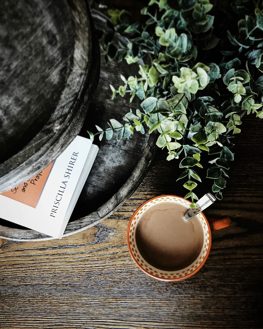 pis, laïc, fotografia, tassa de cafè, al costat, planta, llibre, blanc, taronja, ceràmica, tassa, ple, cafè, cullera, fusta, bol, taula, flatlay, verd, arbre petit, publicació, vista d’angle alt, refresc, natura morta, beure, menjar i beguda, planta en test, a l'interior, cap gent, frescor, directament a sobre, cafè - beguda, flor, beguda calenta, 1080P