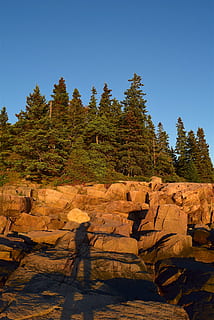 posta de sol, arbres, roques, pins, maine, naturalesa, paisatge, cel, blau, Costa, línia de costa, escènic, vespre, a l'aire lliure, rocós, verd, salvatge, llum solar, taronja, pedra, natural, parc, Riba, arbre, planta, persones reals, cel clar, bellesa a la natura, dia, escenics - natura, escena no urbana, escena tranquil·la, sòlid, rock, ombra, creixement, terra, homes, tranquil·litat, medi ambient, 4K, CC0, domini públic, lliure de regalies