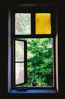 Zielony, leafed, drzewa, na zewnątrz, okno, otwarty, szyba szklana, sylwetka, zdjęcie, rama, okienko, Otwórz okno, szkło - materiał, rama okienna, patrząc przez okno, żadnych ludzi, parapet, architektura, wewnątrz, drewno - materiał, dom, Natura, drzewo, wnętrze domu, przezroczysty, roślina, dzień, budynek, zielony kolor, wzrost, zbudowana struktura, kształt geometryczny, kształt, zbliżenie, szkło, 5K, CC0, domena publiczna, darmowe zdjęcia