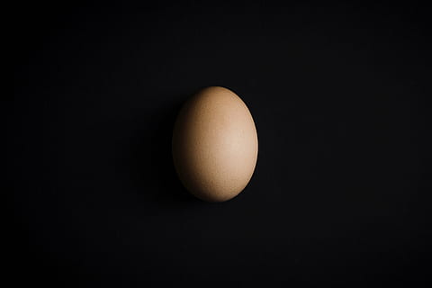 oeuf de volaille, brut, Oeuf, coquille, Pâques, fond noir, alimentation saine, aliments, prise de vue en studio, Nourriture et boisson, bien-être, personne, à l'intérieur, fraîcheur, nourriture crue, espace de copie, oeuf animal, fermer, objet unique, vulnérabilité, fragilité, simplicité, biologique, la nature, petit déjeuner, 4K, CC0, domaine public, libre de droits